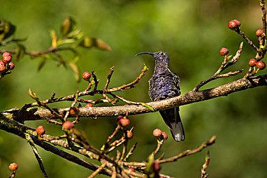 《GTA6》将注重单机体验 传首支预告今年发布